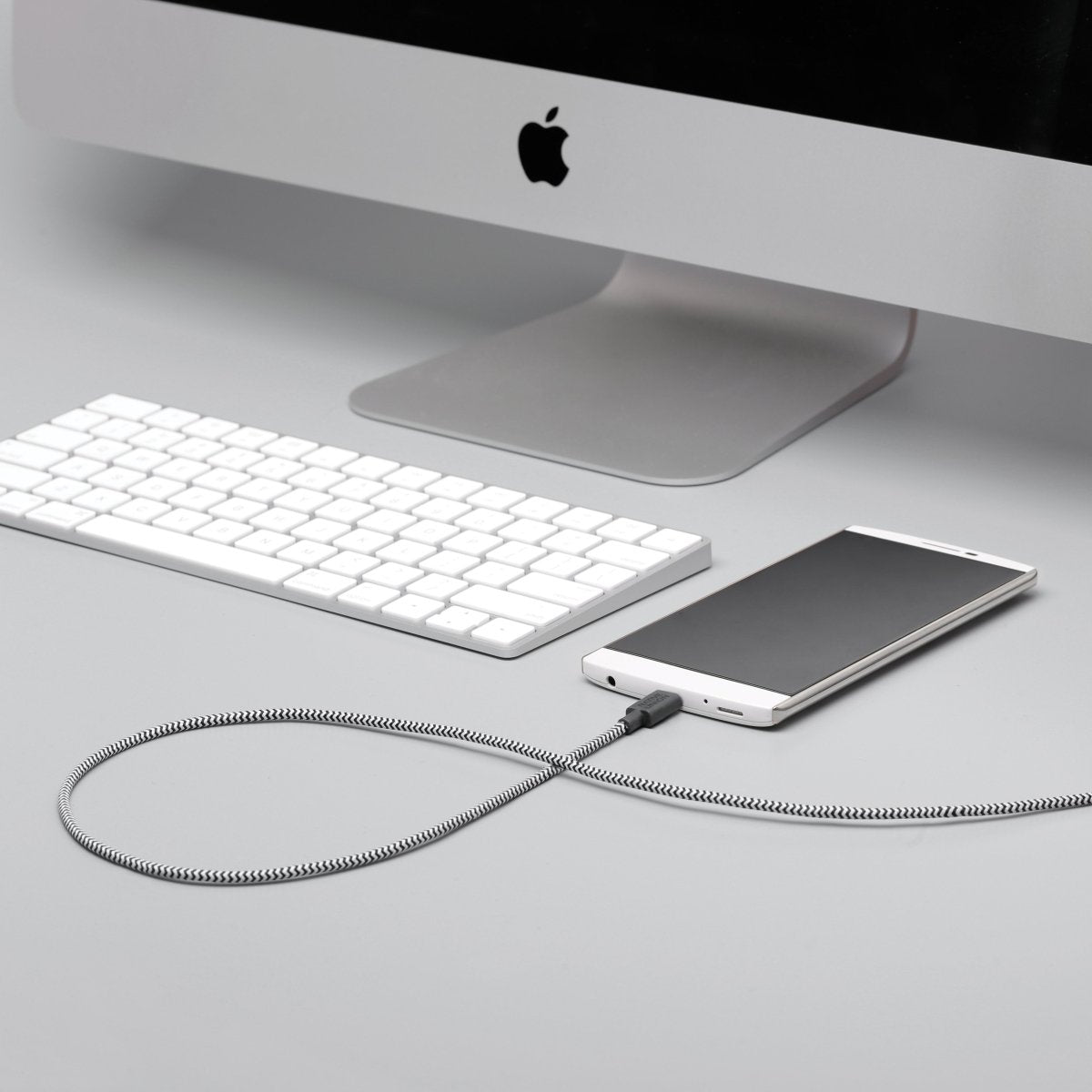 Native Union Belt Cable XL (USB-A to USB-C) - Greenline Showroom